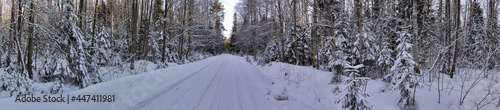 winter road in snow forest panorama © Alexander Potapov