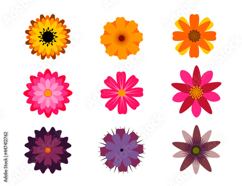 Fototapeta Naklejka Na Ścianę i Meble -  set of colorful simple summer and spring flowers