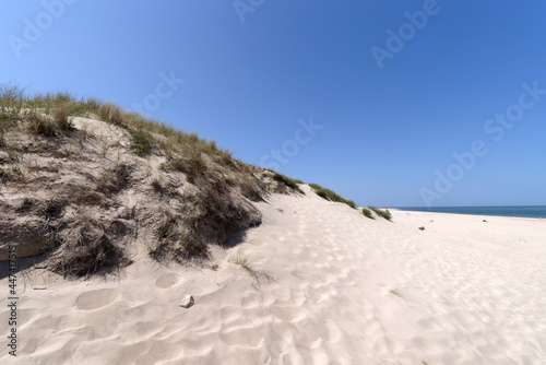 Sand dune of Saint-Nicolas beach in the Gironde estuary