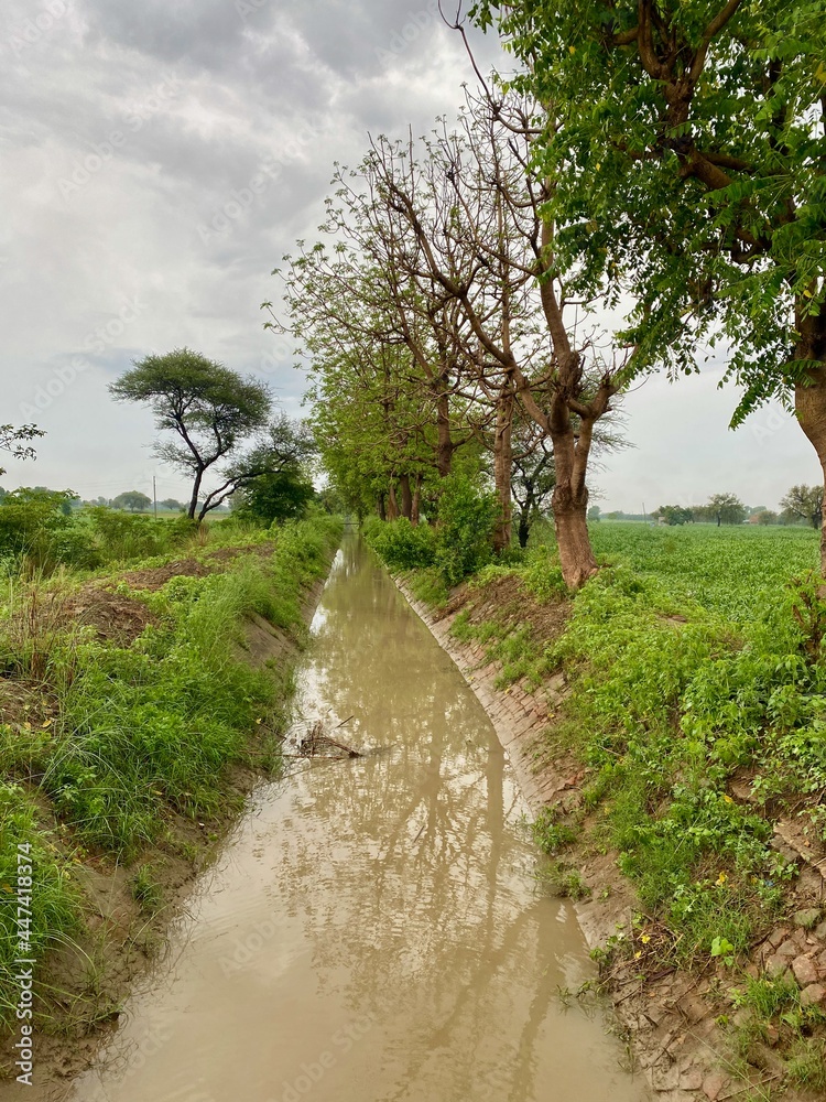 Rural landscape: A canal through countryside