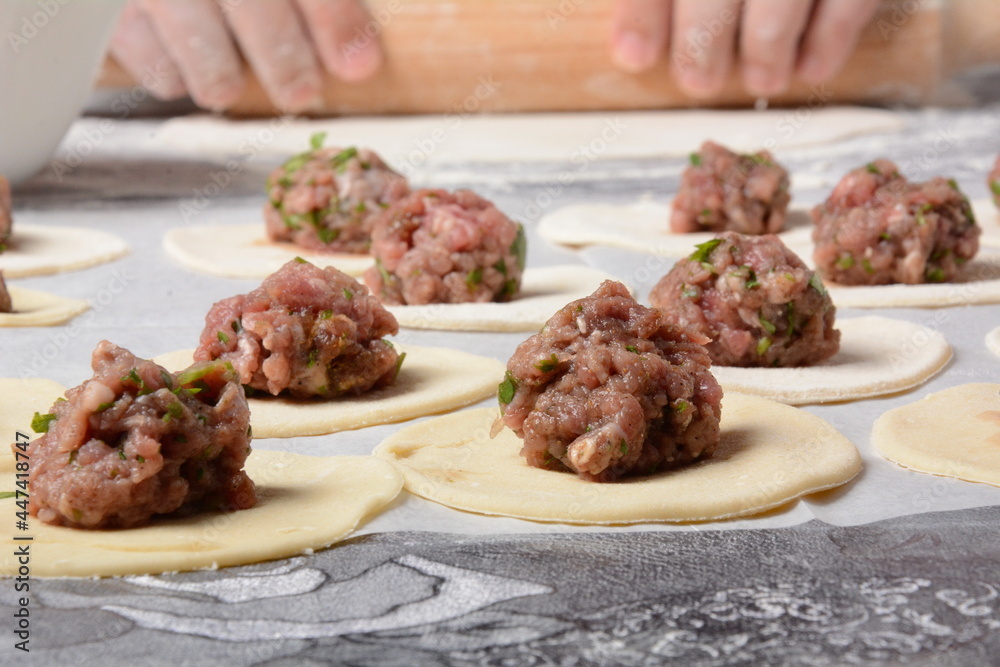 Process of making home-made dumplings, ravioli or pelmeni with minced meat. Process of making home-made dumplings, ravioli or pelmeni with minced meat.