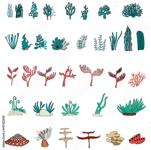  set of seaweeds and coral ,plants in the sea