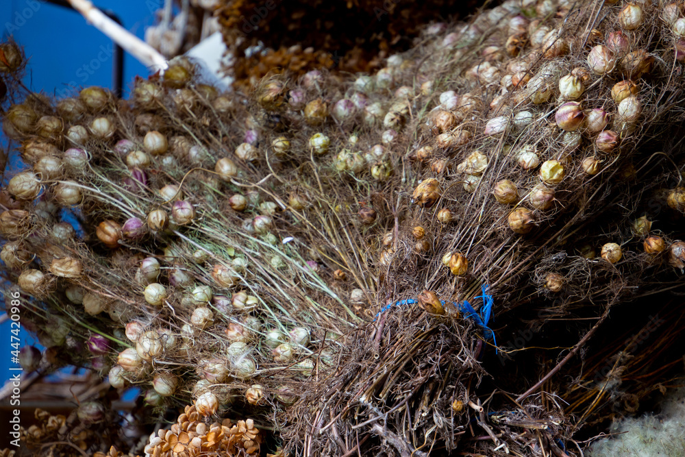 Fototapeta premium Bundle of different kinds of dry plants for decoration