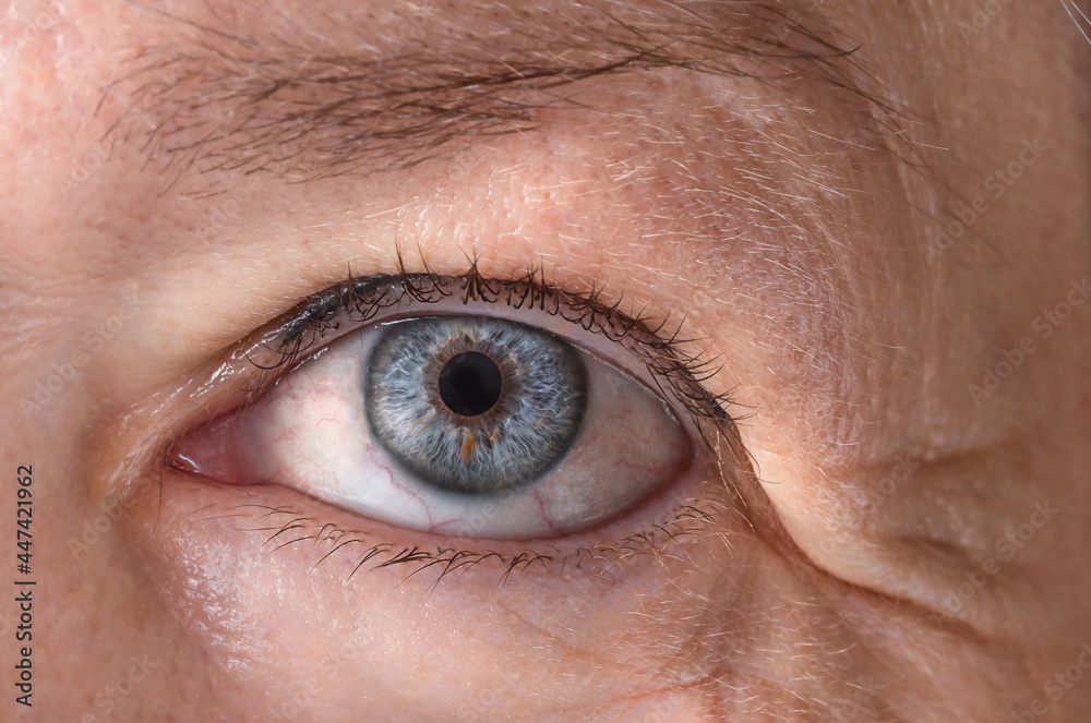Obraz premium Senior eye macro