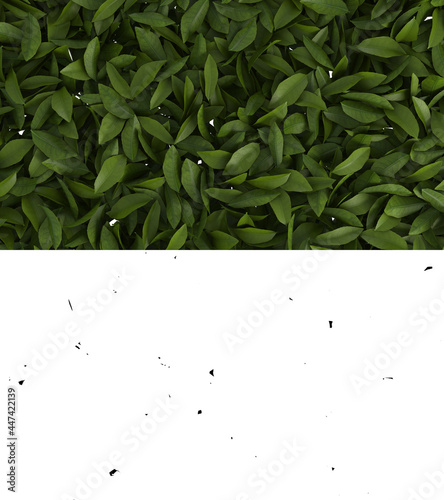 3D illustration of green tea leaves flow with alpha layer