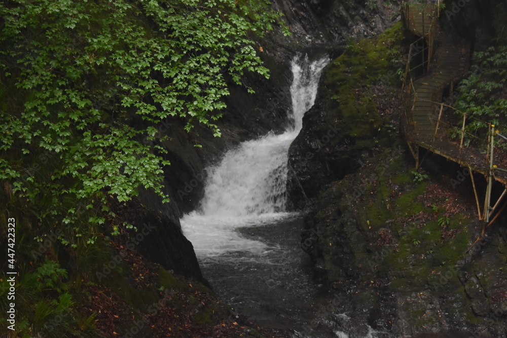 Obraz premium 妙蓮の滝