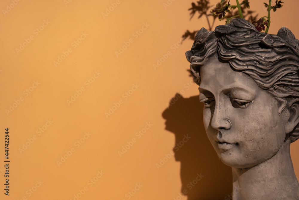a thoughtful greek statue with a plant growing on its head in front of a flat floor