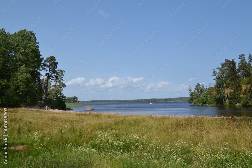 Quiet lake view, blue sky, natural background, wild park with lake in russia