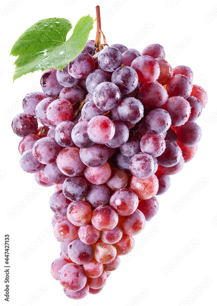 Bunch of pink grapes in water drops with a grape leaf isolated on a white background. Bunch of pink grapes in water drops with a grape leaf isolated on a white background.