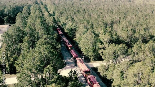 Cargo train on a railway in a beautiful forest around Florida photo