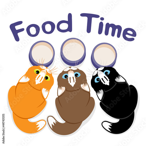 Illustration of cute cats wanting to eat on a white background.