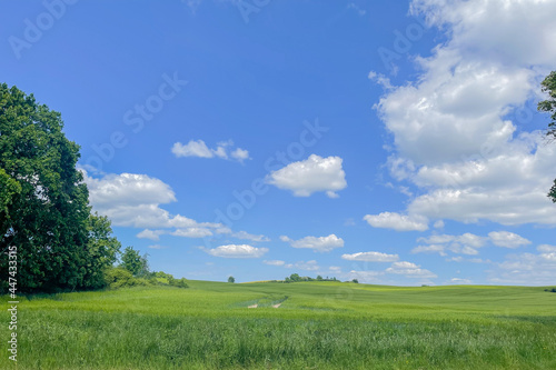 green field and blue sky © Mariusz_arts
