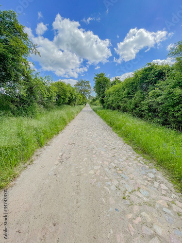 road in the countryside