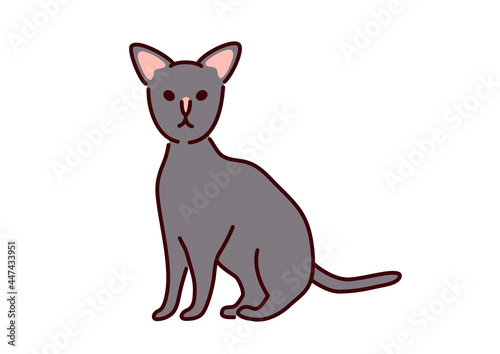 Oriental cat illustration                                                                  