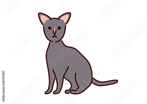 Oriental cat illustration／シンプルかわいい猫・オリエンタルのイラスト