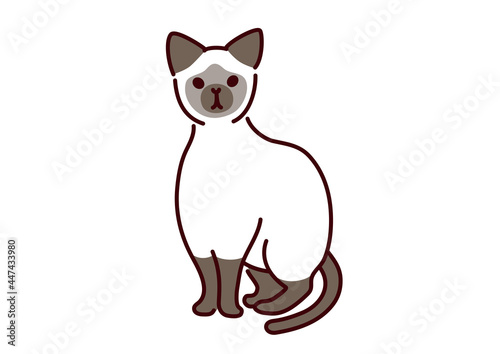 Siamese cat illustration／シンプルかわいい猫・シャム猫のイラスト