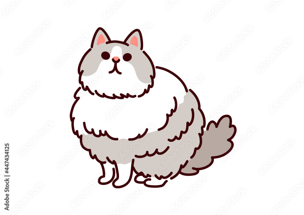 シンプルかわいい猫 ラグドールのイラスト Ragdoll Cat Illustration Stock Vector Adobe Stock