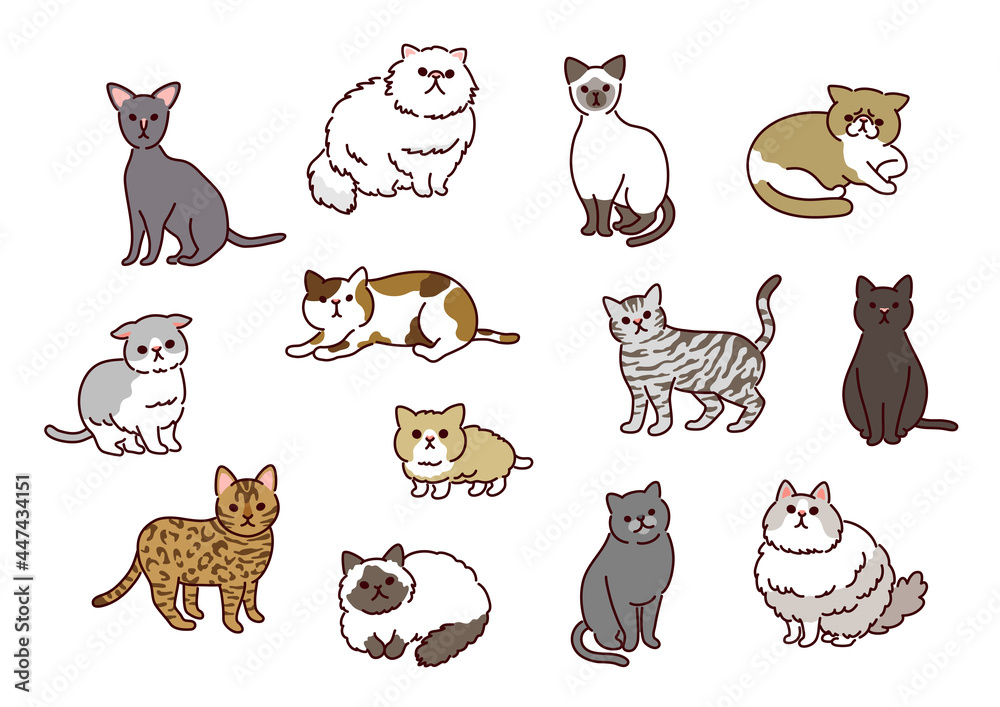 シンプルでかわいい13種類の猫たちのイラストセット Stock Vector Adobe Stock