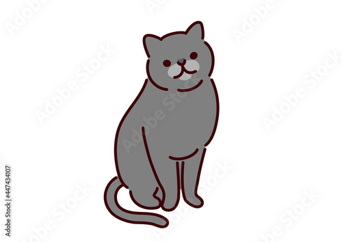 British shorthair cat illustration                                                                                       