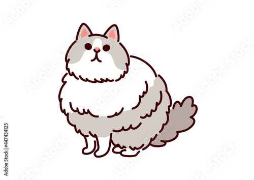 シンプルかわいい猫 ラグドールのイラスト Ragdoll Cat Illustration Stock Vector Adobe Stock