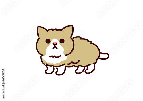 Munchkin kitten illustration／シンプルかわいい猫・マンチカンの子猫イラスト
