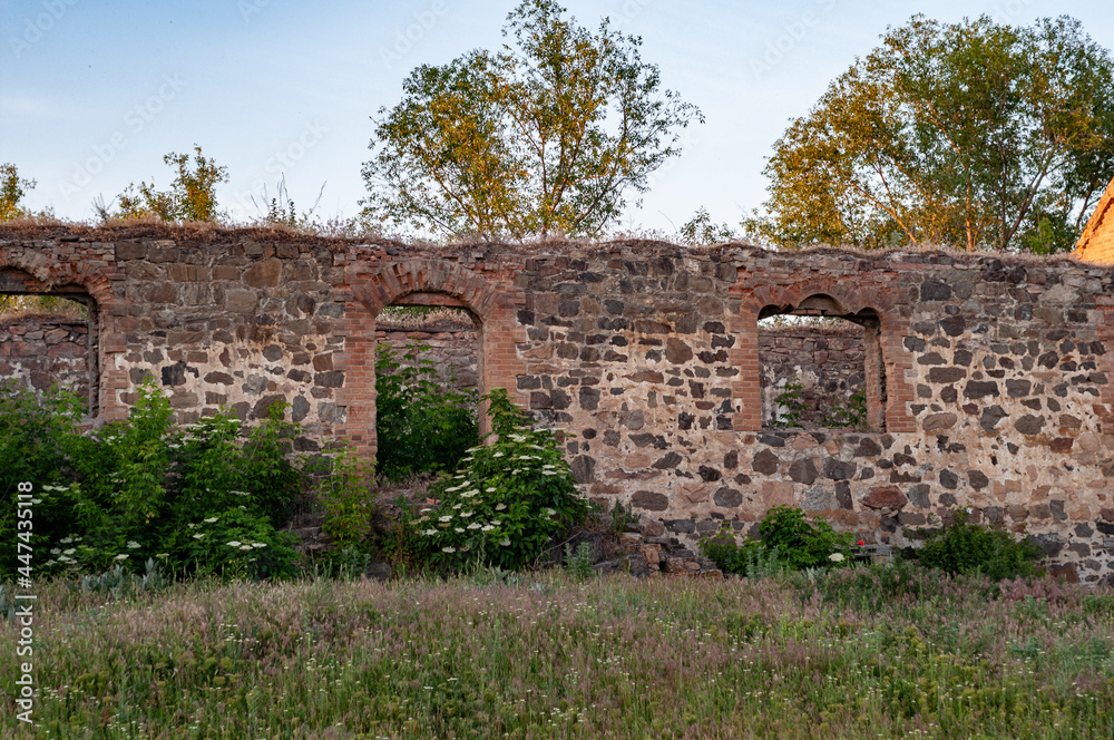 old semi-ruined building with stone, remains old mill overgrown with bushes and grass without windows and a roof