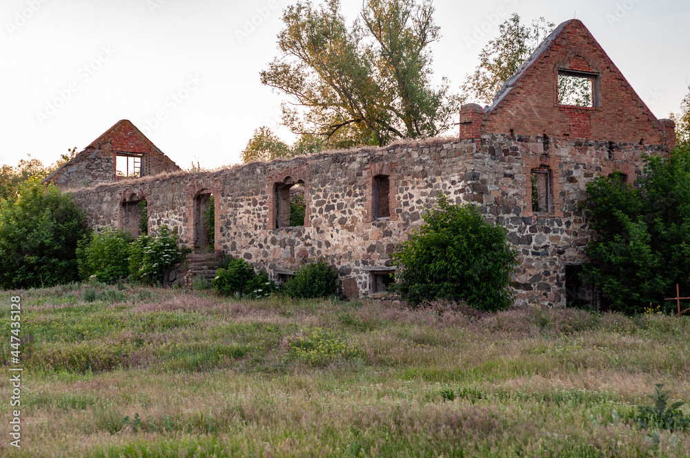 Panorama old semi-ruined building with stone, the remains old mill overgrown with bushes and grass without windows and roof