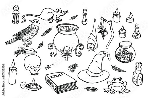 Witchcraft elements set in hand drawn style. Cartoon Magic collection. Isolated wizard accessories - witch Witch Hat, Glass Poison Bottle, Wizard Book. Esoteric and mystery symbols for stickers, badge