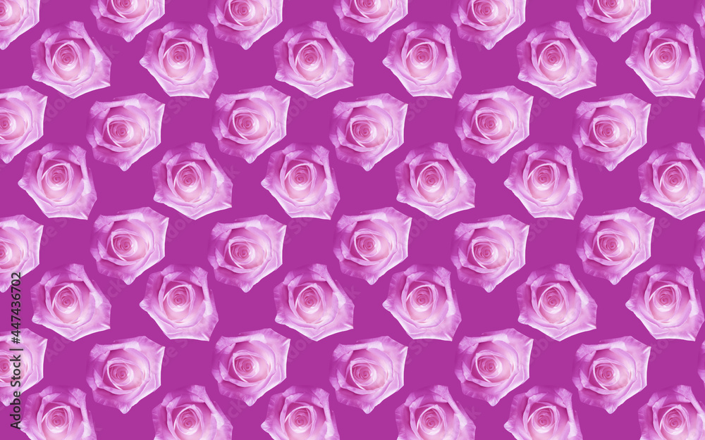 Beautiful pink rose flowers. Blooming roses seamless pattern. Floral natural background. Beautiful pink rose flowers. Blooming roses seamless pattern. Floral natural background.