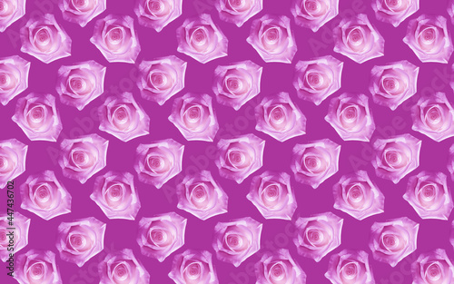 Beautiful pink rose flowers. Blooming roses seamless pattern. Floral natural background.