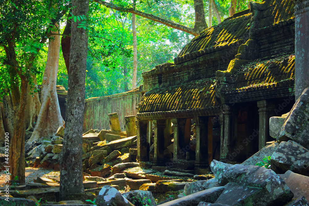Ancient khmer ruins, wall, blocks and gallery of Ta Prohm temple (Rajavihara) in daylight passing through the rain forest in Angkor archeological complex, Siem Reap, Cambodia, South East Asia Ancient khmer ruins, wall, blocks and gallery of Ta Prohm temple (Rajavihara) in daylight passing through the rain forest in Angkor archeological complex, Siem Reap, Cambodia, South East Asia
