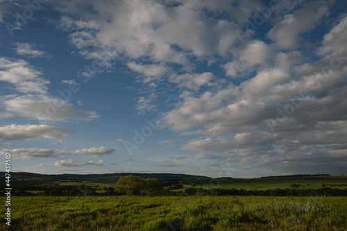 beautiful clouds at sunset and a green meadow