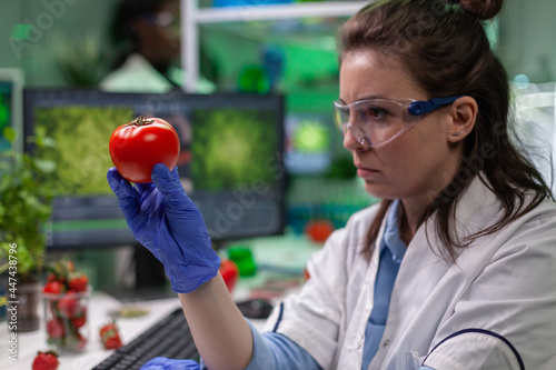 Front view of biologist reseacher woman analyzing tomato injected with chemical dna for scientific agriculture experiment. Pharmaceutical scientist working in microbiology laboratory. photo