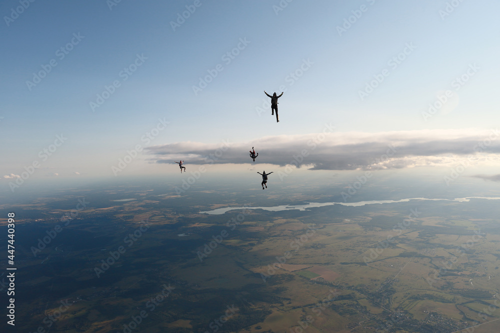 Fototapeta premium Freefly skydiving. Fun jump. Skydivers are flying in the sky.