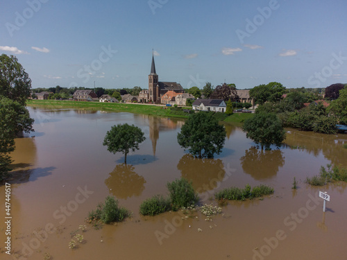 Flooded land and floodplains, drowned trees, river Maas village Appeltern © MyStockVideo