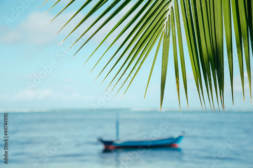 A boat in the ocean on a tropical island at summer sunny day