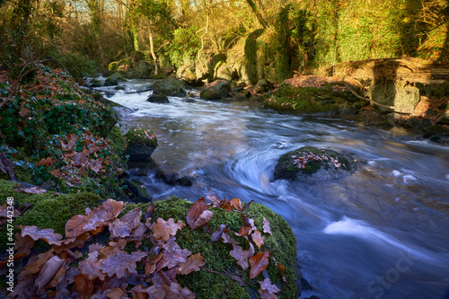 die Rauscherfälle in Plaidt in der Eifel, west Deutschland im Herbst mit langer Verschlusszeit
