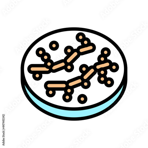 candida bacteria color icon vector. candida bacteria sign. isolated symbol illustration