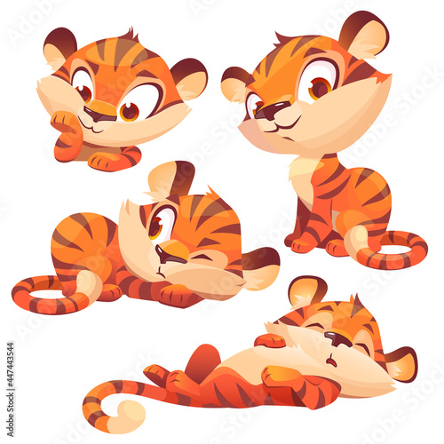 Set cartoon baby tiger, cute animal cub character