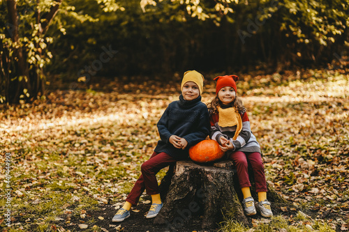 Happy playful children friends in warm clothes a hat in bright hats and scarves are walking having fun sitting on a stump and a pumpkin catching leaves in the autumn forest in nature, selective focus