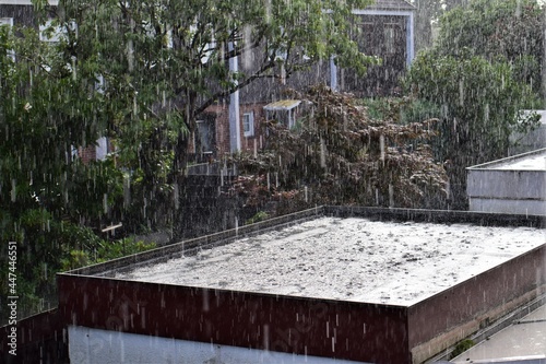 Heavy rain on a flat roof against bushes, trees and some houses © Luise123