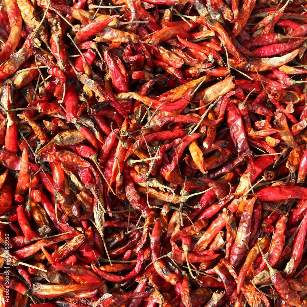 Chili peppers drying in Thailand