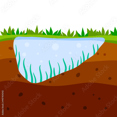 Land and pond in the section. Brown soil layer. Underground geology. Summer landscape. The bottom of lake and river with algae.