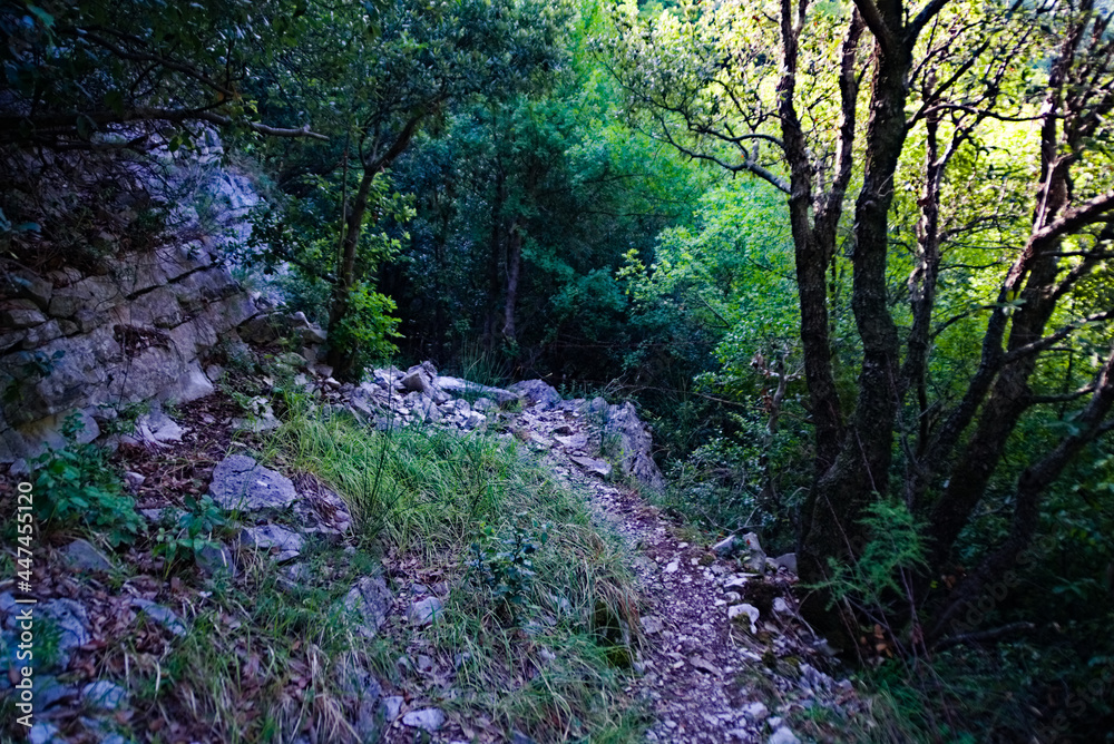 Sentiero per le cascate del Fosso di Teria a Secchiano nelle Marche Sentiero per le cascate del Fosso di Teria a Secchiano nelle Marche