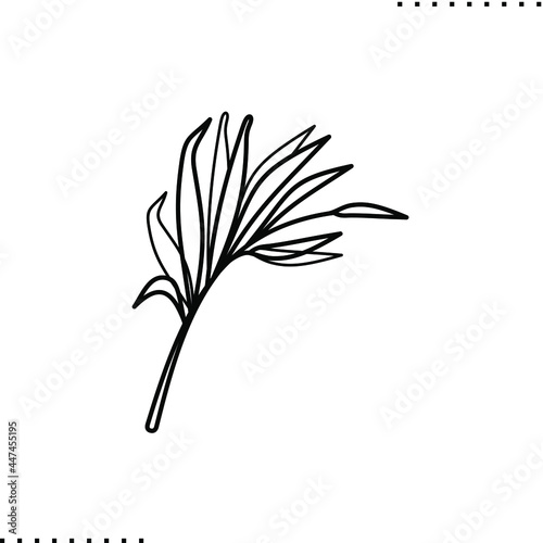 tropical leaf  foliage vector icon in outline