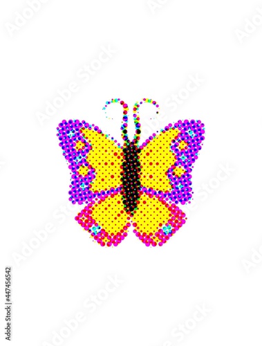 colorful butterfly