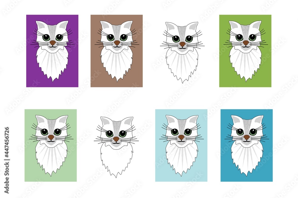 Images of the muzzle and breast of a white and gray cat on a white background and on frames with a colored background, illustration for design and print