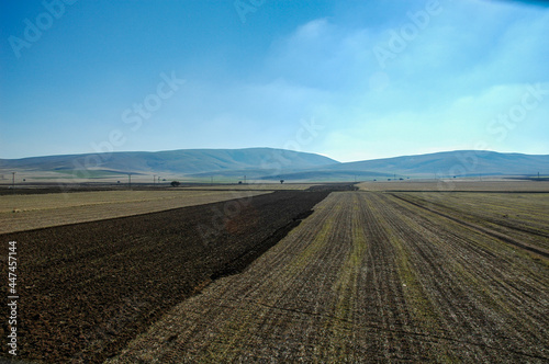 the great plowed field and the mountains behind it