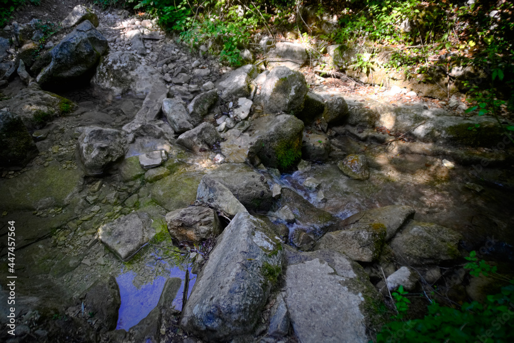 Ruscello lungo il sentiero per le cascate del Fosso di Teria a Secchiano nelle Marche