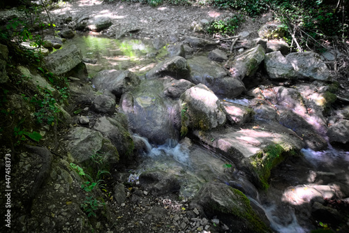 Ruscello lungo il sentiero per le cascate del Fosso di Teria a Secchiano nelle Marche